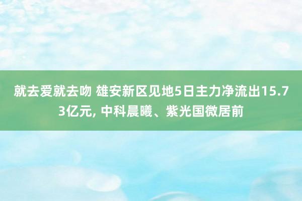 就去爱就去吻 雄安新区见地5日主力净流出15.73亿元， 中科晨曦、紫光国微居前