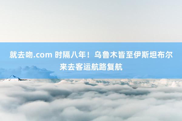 就去吻.com 时隔八年！乌鲁木皆至伊斯坦布尔来去客运航路复航