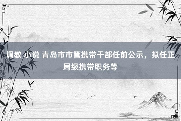 调教 小说 青岛市市管携带干部任前公示，拟任正局级携带职务等