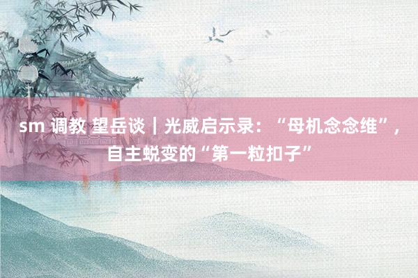 sm 调教 望岳谈｜光威启示录：“母机念念维”，自主蜕变的“第一粒扣子”