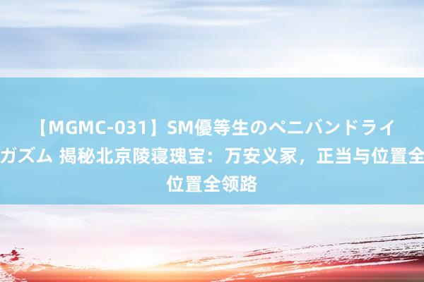 【MGMC-031】SM優等生のペニバンドライオーガズム 揭秘北京陵寝瑰宝：万安义冢，正当与位置全领路