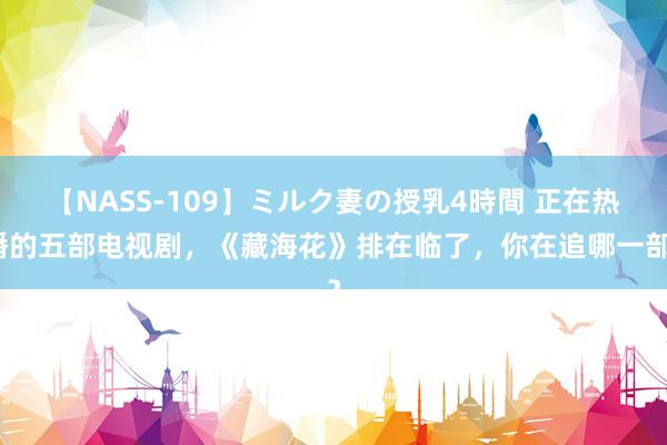 【NASS-109】ミルク妻の授乳4時間 正在热播的五部电视剧，《藏海花》排在临了，你在追哪一部？