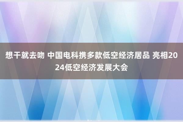 想干就去吻 中国电科携多款低空经济居品 亮相2024低空经济发展大会