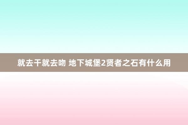 就去干就去吻 地下城堡2贤者之石有什么用