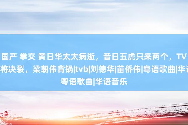 国产 拳交 黄日华太太病逝，昔日五虎只来两个，TVB五虎将决裂，梁朝伟背锅|tvb|刘德华|苗侨伟|粤语歌曲|华语音乐