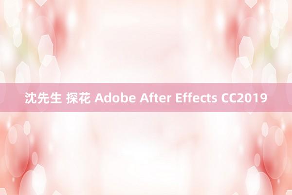 沈先生 探花 Adobe After Effects CC2019